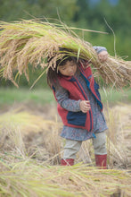 画像をギャラリービューアに読み込む, 【白米/玄米】天日干しコシヒカリ(栽培期間中無農薬、無化学肥料米)【2025】