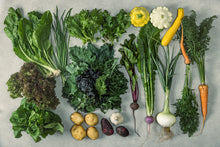 画像をギャラリービューアに読み込む, 宅配野菜【定期便とお試し便選択可・環境に配慮されたお野菜】