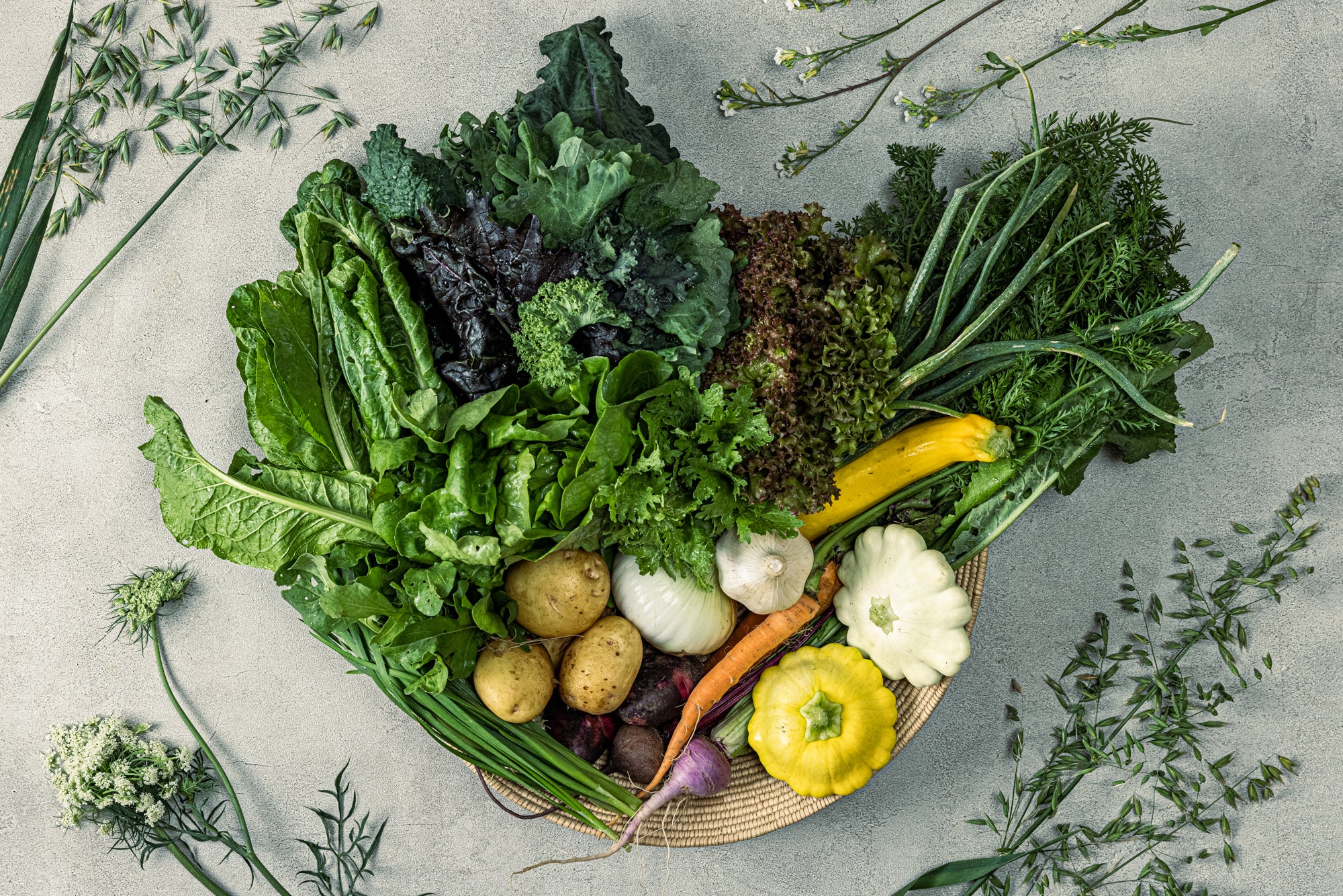 FUUSHIKAorganic　宅配野菜【定期便とお試し便と選べます。環境に配慮された旬のお野菜】　–