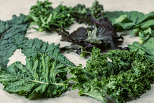 画像をギャラリービューアに読み込む, 宅配野菜【定期便とお試し便選択可・環境に配慮されたお野菜】