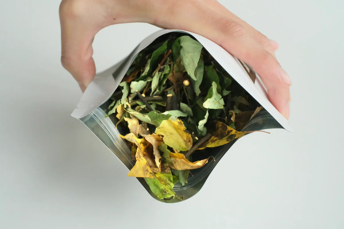 のぶりん　クロモジ生の枝葉　ハーブ　染料　茶　漢方　保存食　挿し木クロモジ のぶりん様専用 クロモジ生の枝葉 ハーブ 染料 茶 漢方 保存食