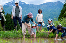 画像をギャラリービューアに読み込む, 【白米/玄米】天日干しコシヒカリ（栽培期間中無農薬、無化学肥料米）【2025】
