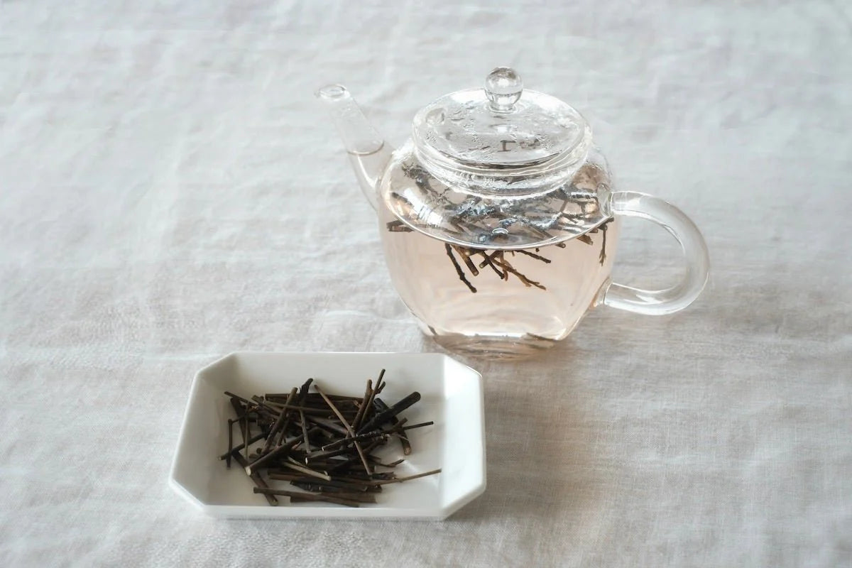 のぶりん　クロモジ生の枝葉　ハーブ　染料　茶　漢方　保存食　挿し木クロモジ のぶりん クロモジ生の枝葉 ハーブ 染料 茶 漢方 保存食 挿し木